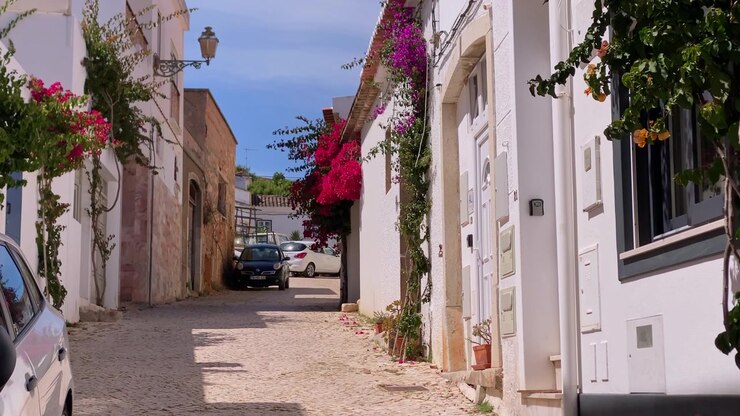 Caratteristica strada che si snoda attraverso il centro storico di una città costiera nel sud Europa, caratterizzata da architettura tradizionale e fiori sbocciati