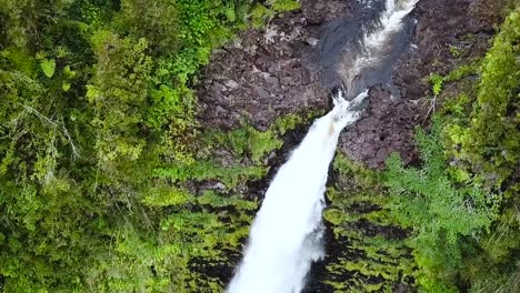 drone aerial waterfall pan down green forest hawaii