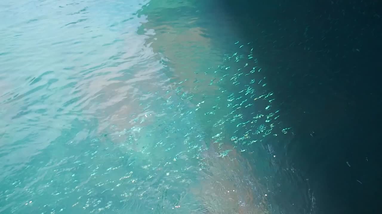 харрингтон саунд - бермудская гавань флэтс