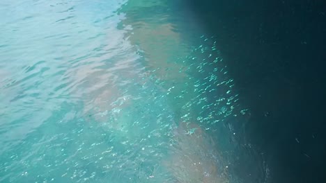 harrington sound - bermuda puerto flats