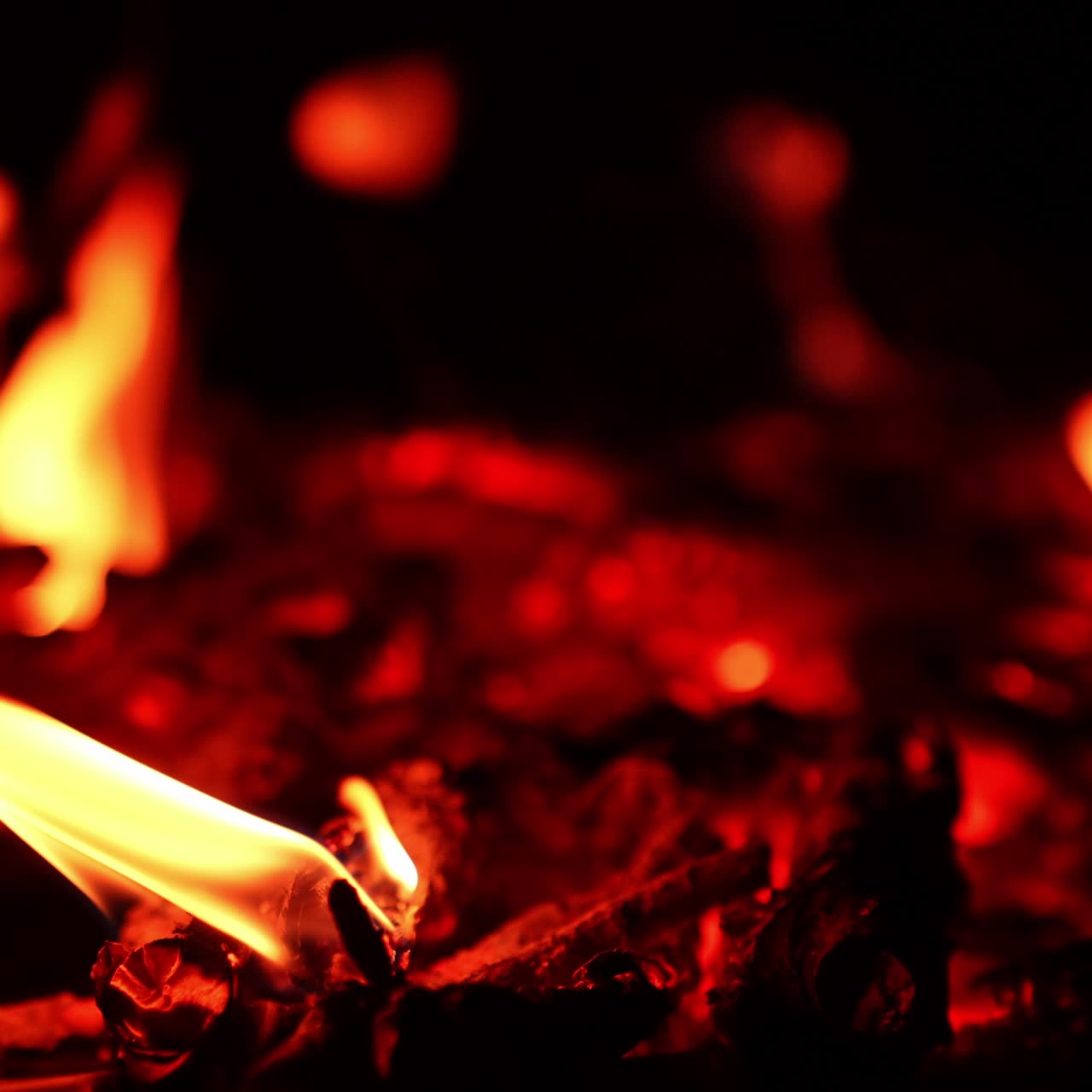Remnants of wood burning out in the campfire. Red hot embers at backdrop in blur. Close up