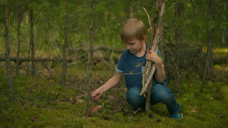 a man in the woods collected sticks and found a mushroom in moss