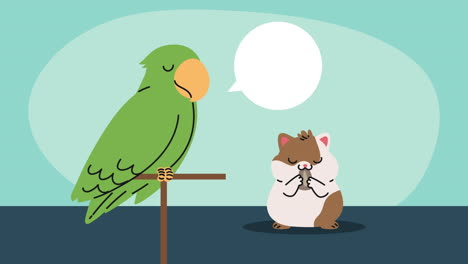 cute parrot and guinea pig characters animation