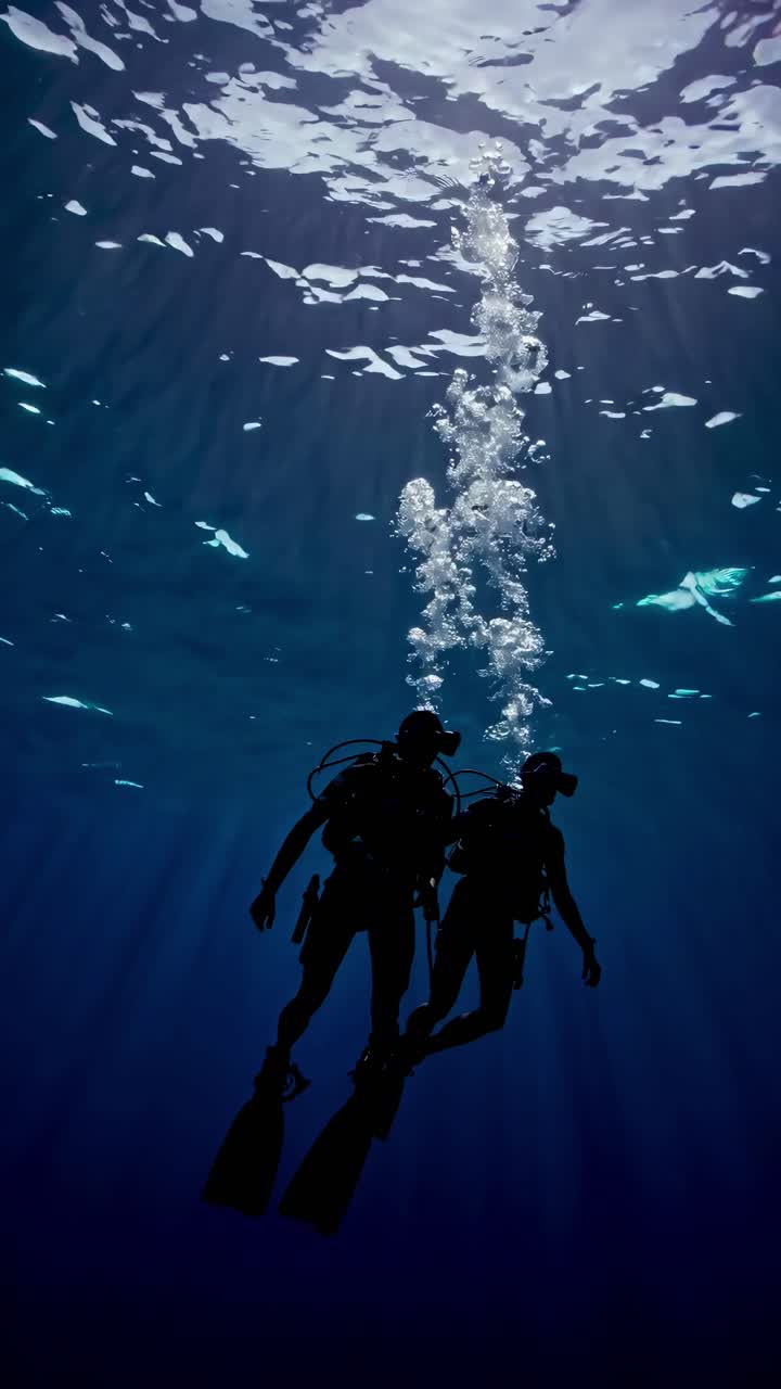 Underwater video concept with two divers silhouetted against sunlight