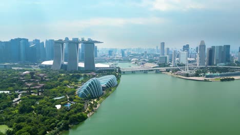 tomada de avión no tripulado de los jardines verdes de singapur en la bahía hermosa, la ciudad del horizonte en el fondo