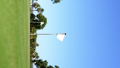 golf pennant waving, over a golf hole