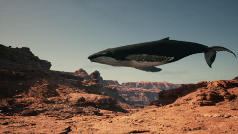 a whale soaring over a desert canyon