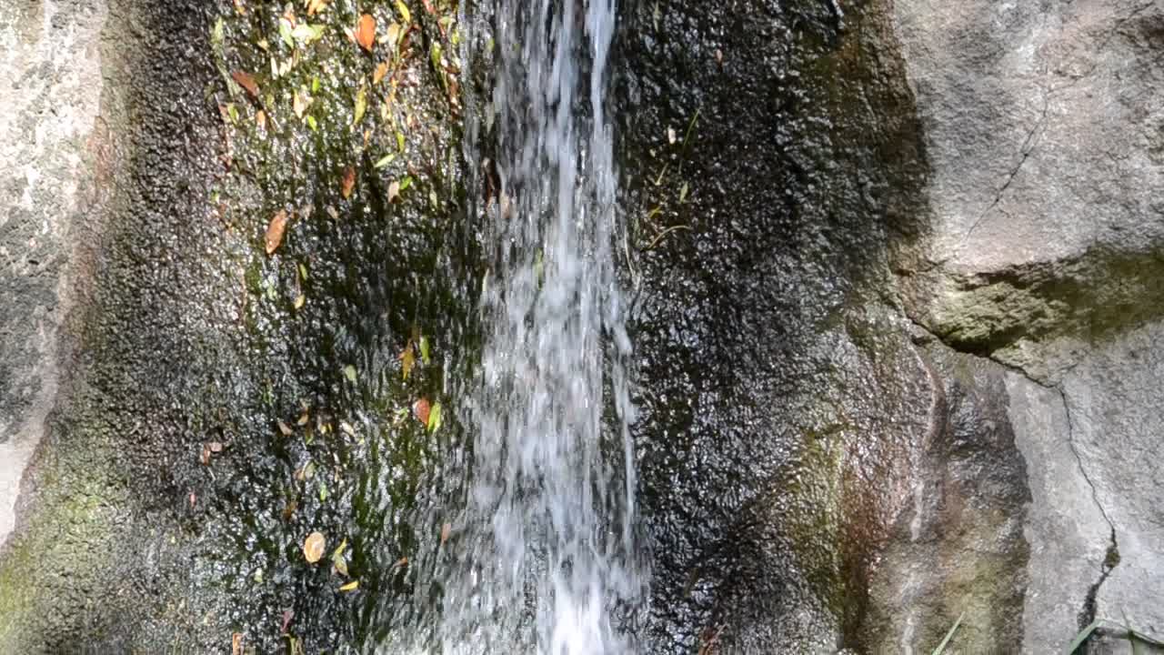 Falls