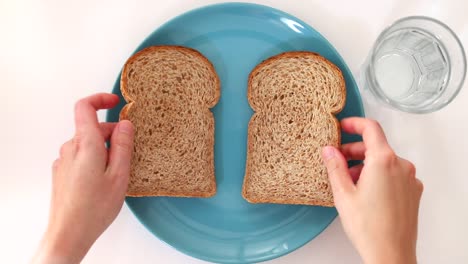 brown bread on blue plate