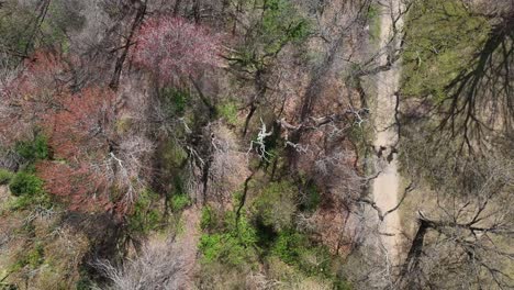 an aerial view directly above a park with a dirt road running through it