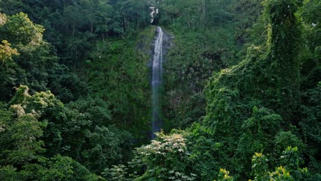 mystical waterfall in fresh tropical rainforest, drone forward establisher