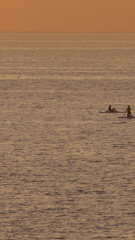 people in shadow paddle surfing in barcelona in the early morning in vertical