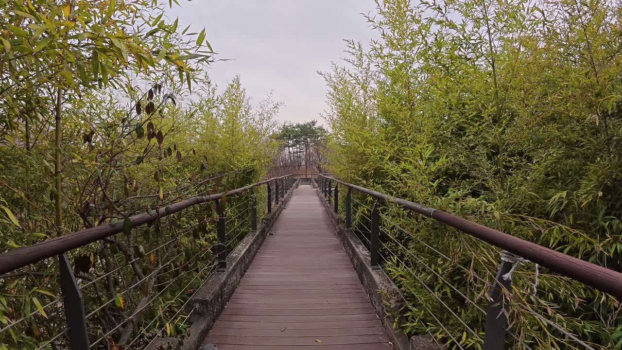 Walking In Beautiful Bridge In Seonyudo Park, Seoul, South Korea - POV