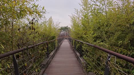 walking in beautiful bridge in seonyudo park, seoul, south korea - pov