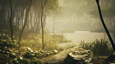 misty forest landscape with serene water reflections at dawn