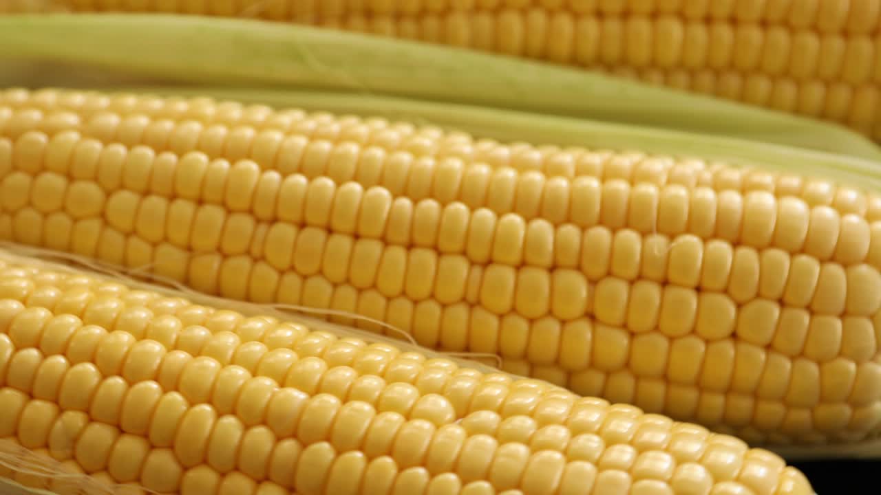 Raw Half Peeled Sweet Corn Cob Rotating 4