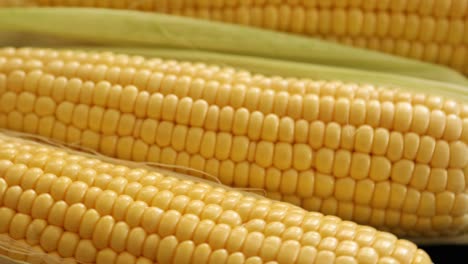 raw half peeled sweet corn cob rotating 4