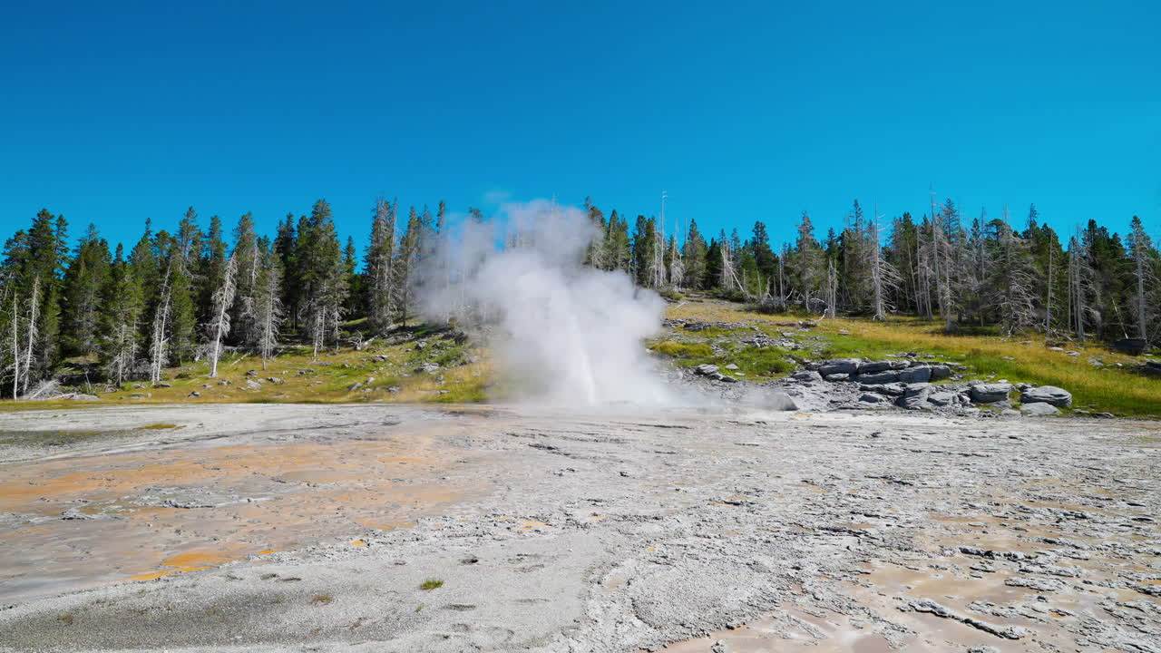 Geyser Erupting in Yellowstone National Park under a Clear Blue Sky