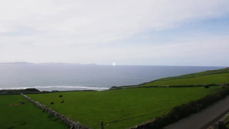 Animation-of-icons-connected-with-lines-over-aerial-view-of-green-landscape-and-sea-against-sky