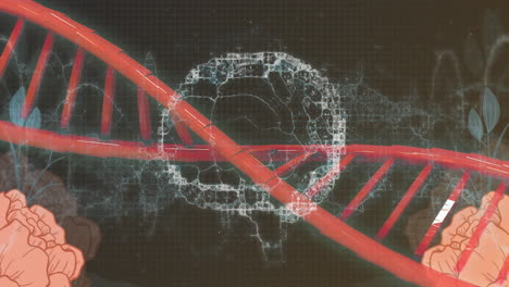 animación de la estructura del adn y la onda digital sobre el icono del cerebro humano giratorio y el diseño floral