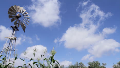 timelapse of a metallic irrigation windmill in a corn field