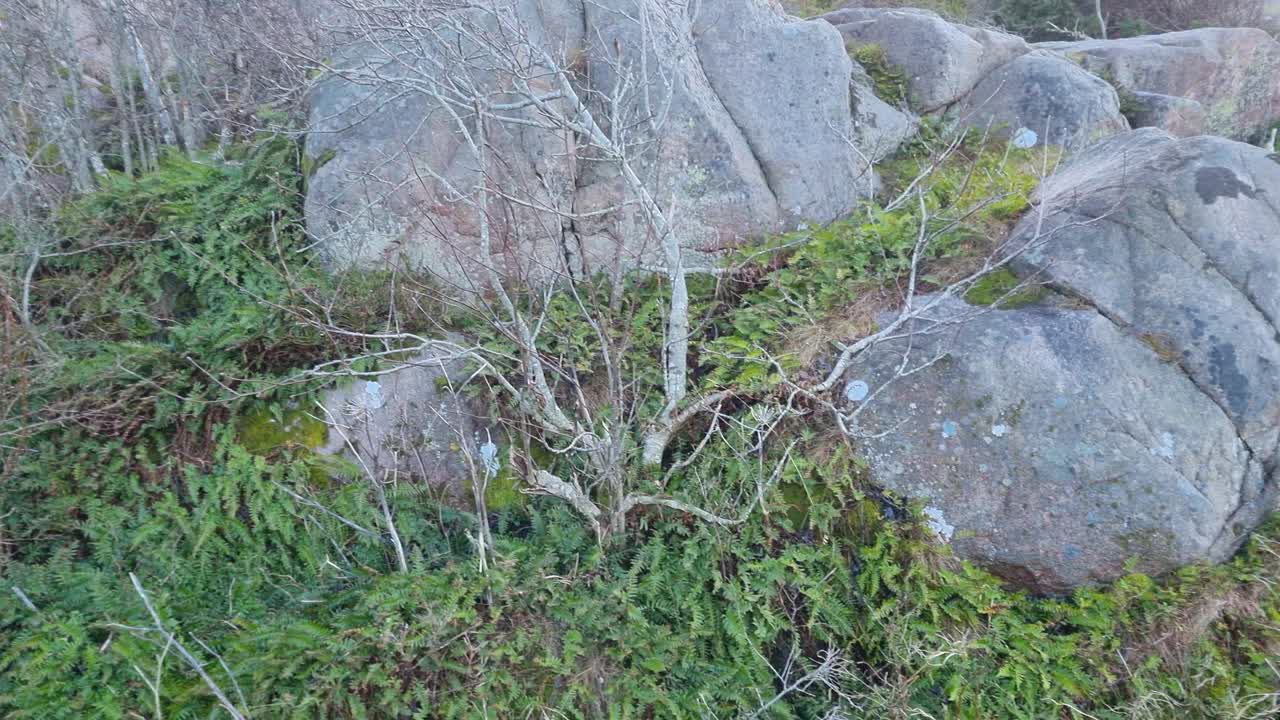 A video from the wescoast of Sweden in a Town called Bovallstrand of a small beach called "Skomakarudden", showing ocean pollution that has washed ashore