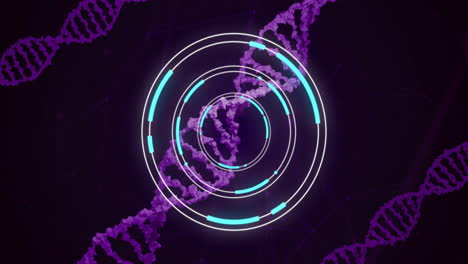 cadenas de adn y interfaz digital circular, animación de procesamiento de datos científicos