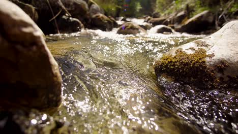 Mountain-stream-at-sunny-day