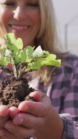 video of happy caucasian woman holding seedling