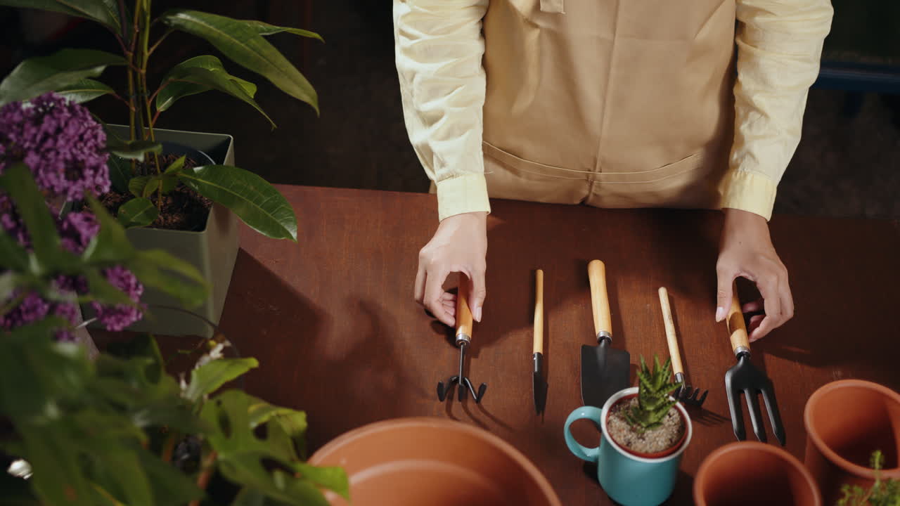 Gardener arranging plants and tools on a table