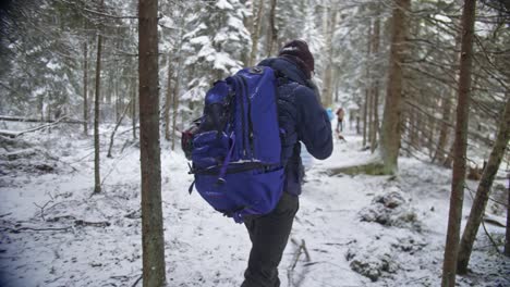 tourist in a winter forest walking on a trail with a huge camping backpack