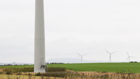 wind turbines rotating in a green field