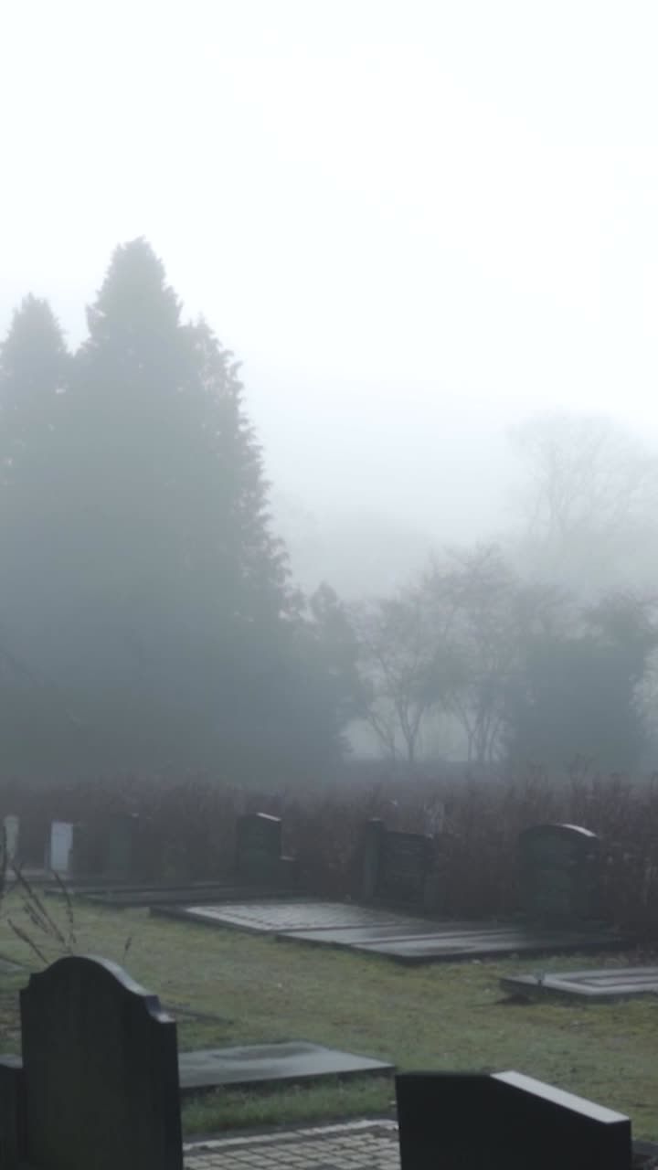 안개가 가득한 묘지 풍경