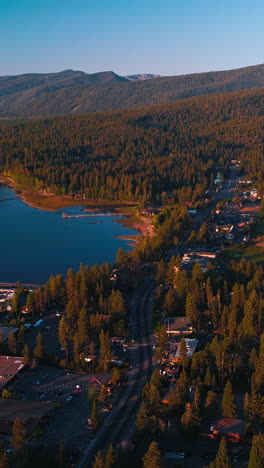 inhabited shore of lake tahoe surrounded by thick pine tree forest. boat pier with lots of yachts from aerial perspective. vertical video