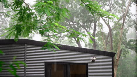 granny flat demountable corrugated metal apartment on rainy day tin roof close up with leafs in foreground