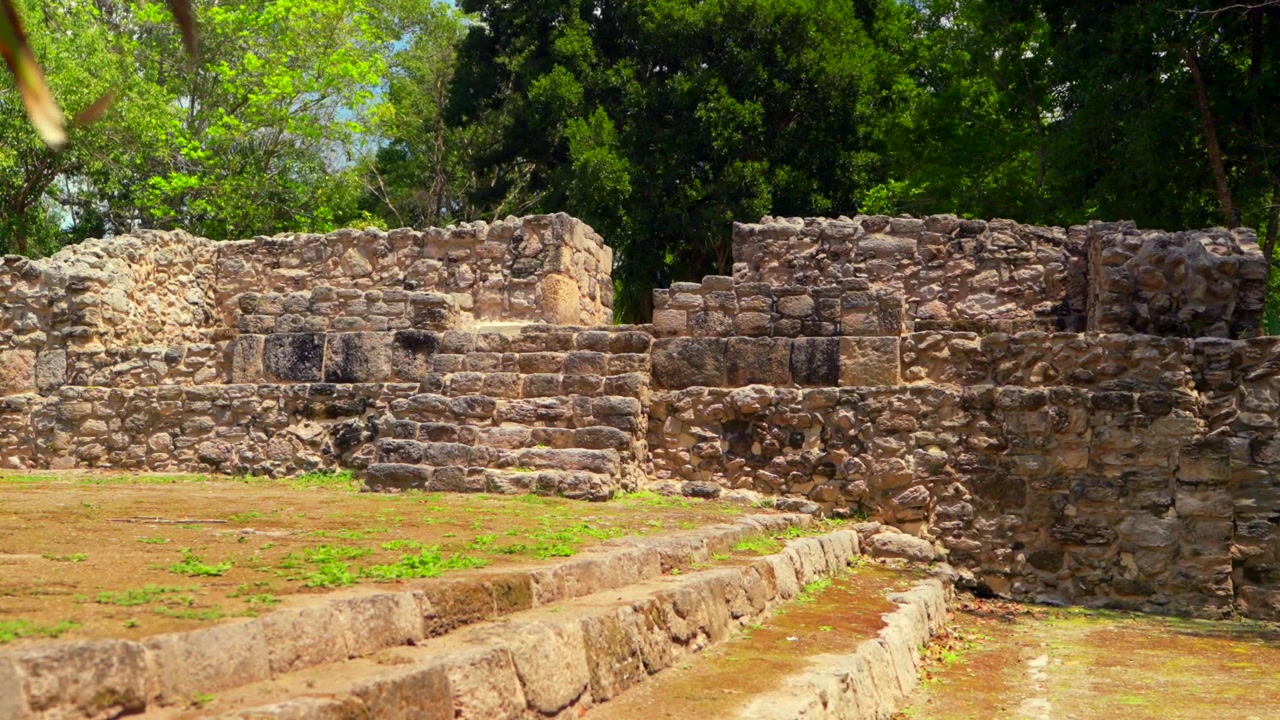 Ripresa fluida con carrello in avanti attraverso foglie di palma verdi che rivela le antiche rovine in pietra del sito archeologico Maya di Oxtankah sotto un cielo luminoso.