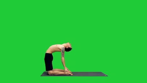 sporty young man working out, yoga, pilates or fitness training, standing in asana ushtrasana, ustrasana or camel pose on a green screen, chroma key