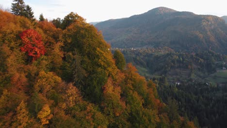 cheile dambovicioarei is a natural wonder located in romania, featuring spectacular gorges and rock formations