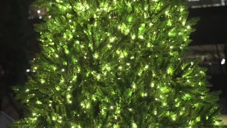 close up parallax shot of very large green christmas tree with only glowing fairy light shining at night in a city surrounded by lit up buildings in the background