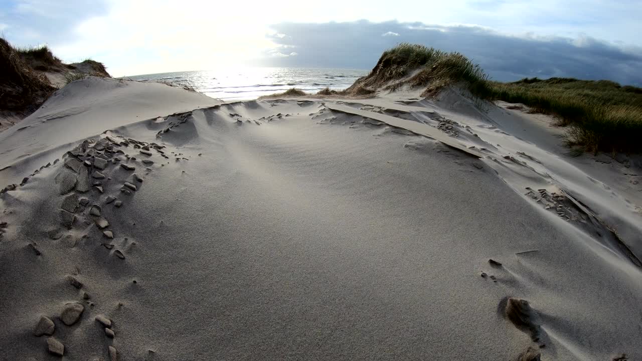 Sand dunes with dune grass in the storm of the North Sea, hiking dunes, dike protection, Sondervig, Jutland, Denmark, 4k