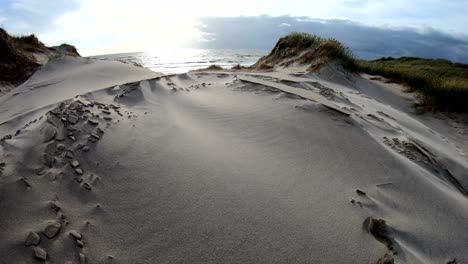 sand dunes with dune grass in the storm of the north sea, hiking dunes, dike protection, sondervig, jutland, denmark, 4k