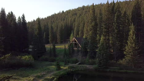 flying through trees and towards a wooden cabin in a forest in colorado