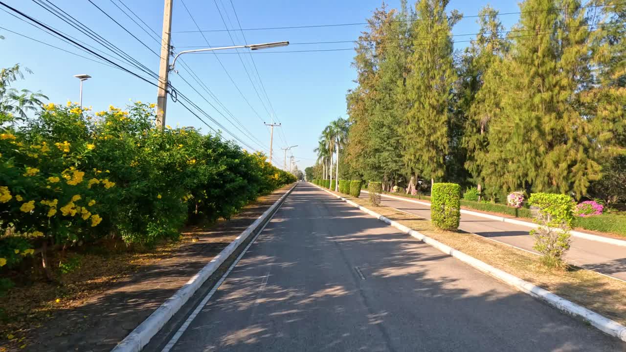 progresión a través de un tranquilo camino del parque