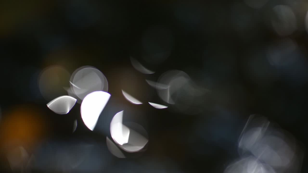 박이는 보케 조명 배경으로 추상적인 흐릿함