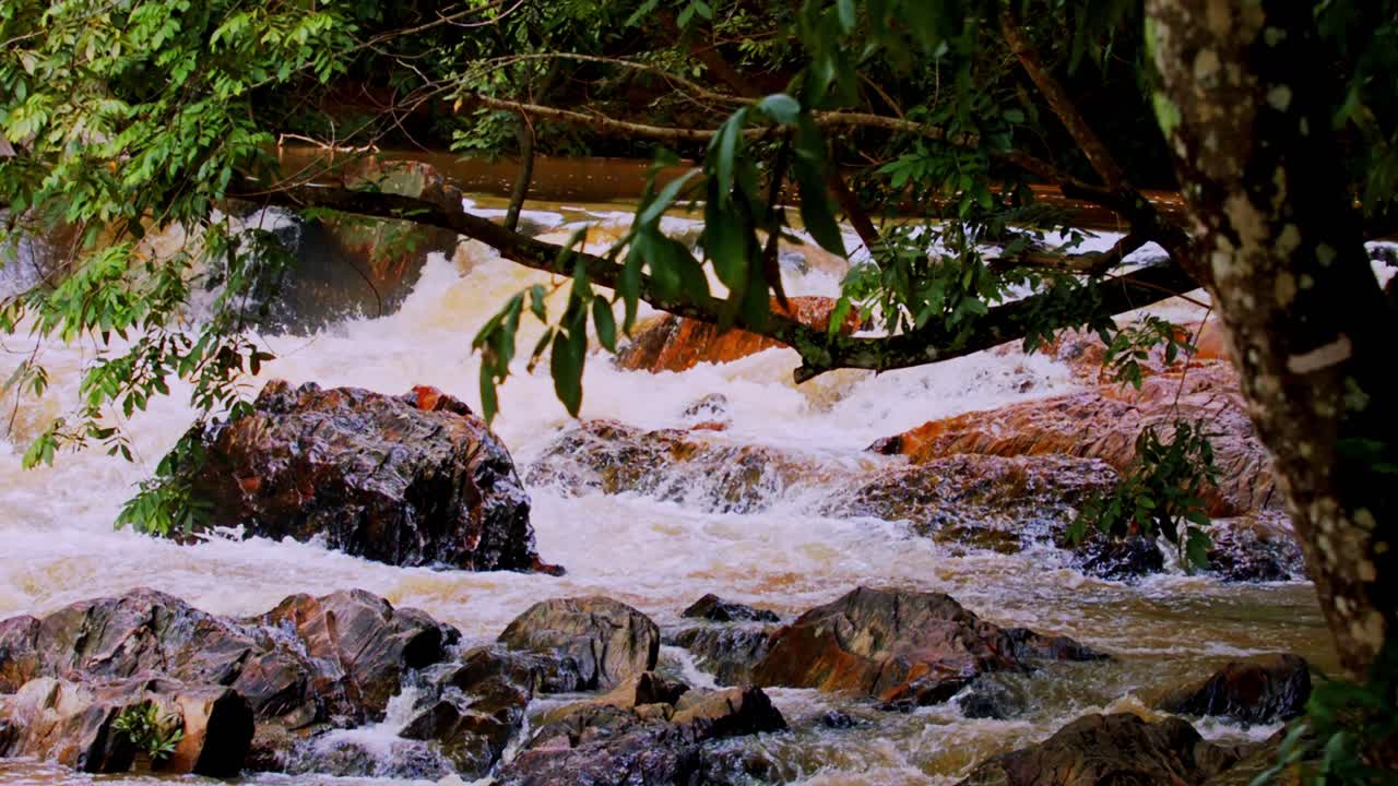rápidos del río en un afluente amazónico después de una lluvia en una sequía