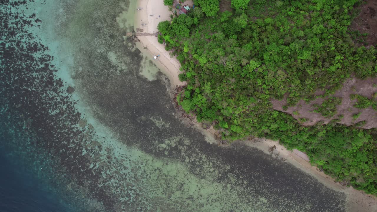 섬의 해변, 은 바물, 바다 바닥, 이국적인 열대 숲