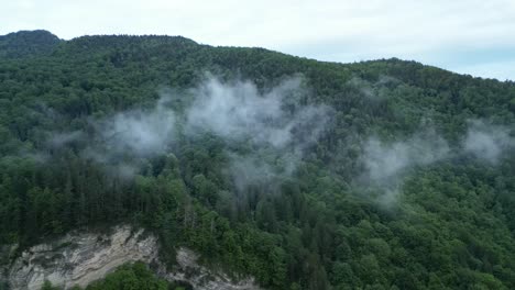 smoke clouds over woodland mountain near lepsa, vrancea county, romania