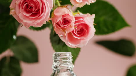 pink rose oil