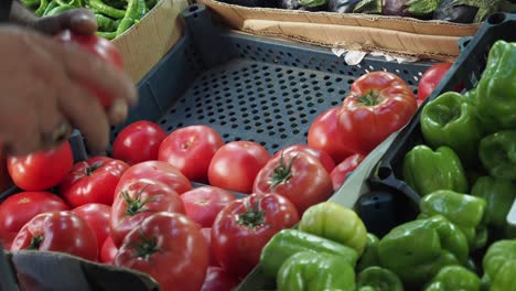 person picking tomatoes from display at a farmer's market