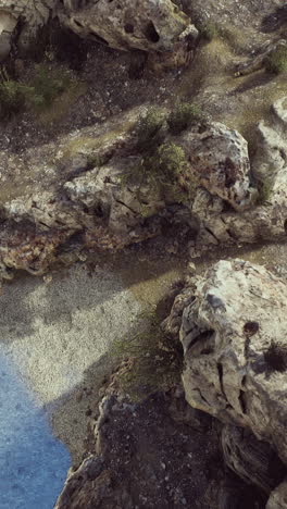 aerial view of a rocky beach